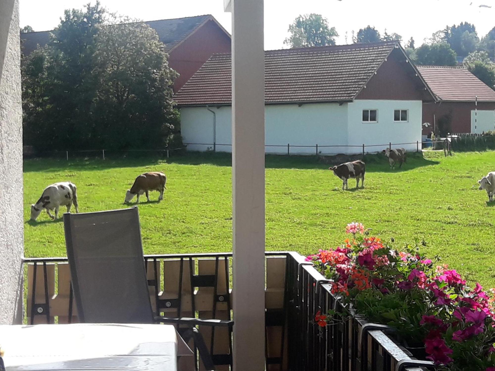 Gaestehaus Reisacher - Mehrbettzimmer Peiting Eksteriør billede